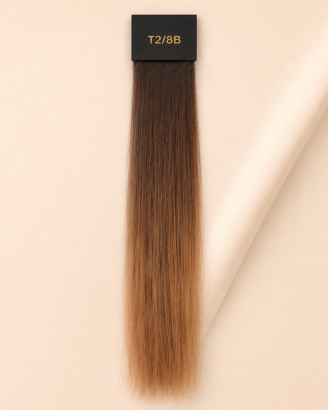 SMJ Hair shade T2/8B color swatch.